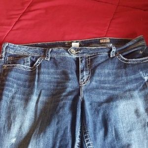 Silver Jean's Tuesday crop